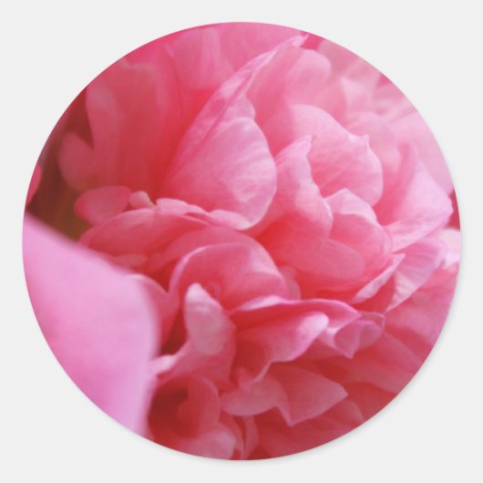 Pinkalicious-Stickers Ronde Sticker (Voorkant)