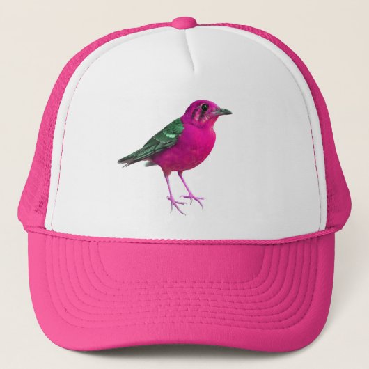 PinkBirdz Trucker Hat Pet (Voorkant)