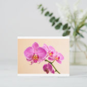 Pinke Orchide Briefkaart (Staand voorkant)