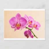 Pinke Orchide Briefkaart (Voorkant)