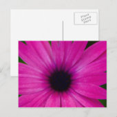 Pinkflower Briefkaart (Voorkant / Achterkant)