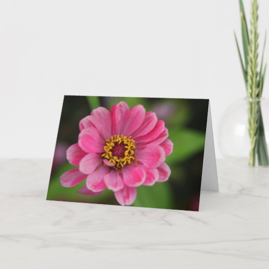 Pinkflower Kaart (Voorkant)