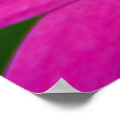 Pinkflower Poster (Hoek)