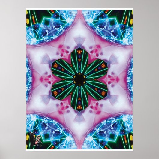 Pinkie Kinestische Collage Kaleidoscoop Poster (Voorkant)
