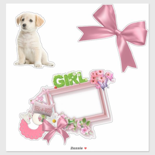 Pinkie-Roos Nieuwe Baby Meisje Sticker (Vel)