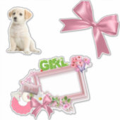 Pinkie-Roos Nieuwe Baby Meisje Sticker (Voorkant)