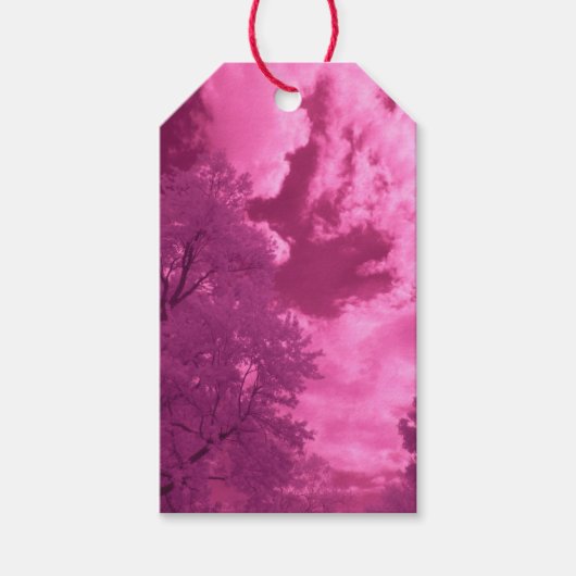 Pinkish Hues Infrared Cloud Cadeaulabel (Voorkant)