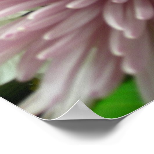 Pinkly Pastel Poster (Hoek)