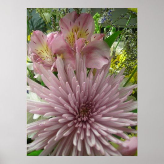 Pinkly Pastel Poster (Voorkant)