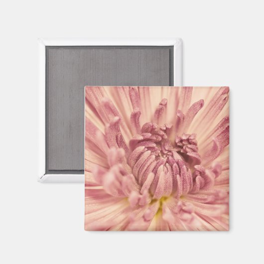 PinkPetals1_5x7etsy Magneet (Voorkant / Achterkant)