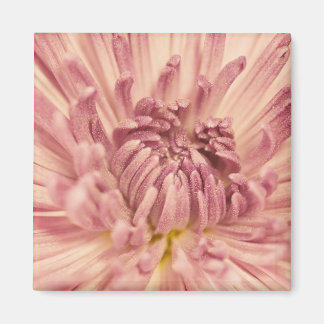 PinkPetals1_5x7etsy Magneet