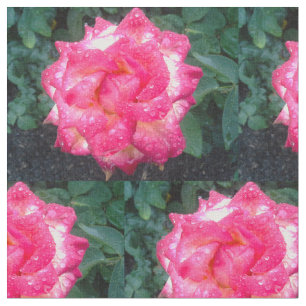 PINKROSSEN EN RAINDROPS STOF