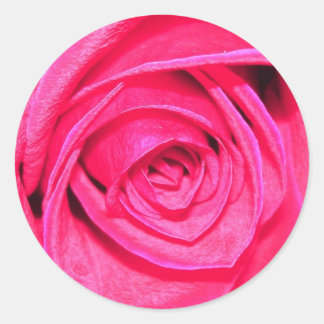 Pinks and Reds Envelope Sticker