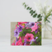 Pinks Briefkaart (Staand voorkant)