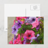 Pinks Briefkaart (Voorkant / Achterkant)