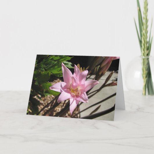 pinks feestdagen kaart (Voorkant)