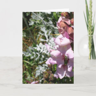 Pinks! Wenskaart Kaart