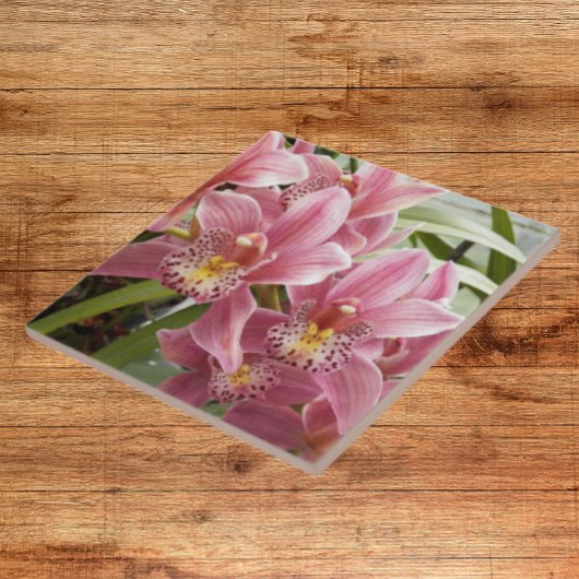 Pinkse orchideeën bloemen tegeltje