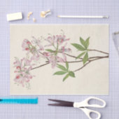 Pinkshell Azalea van Mary Vaux Walcott Tissuepapier (Craft)