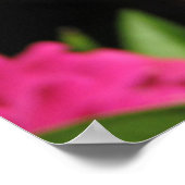 PINKSTROOM POSTER (Hoek)