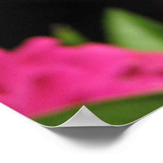 PINKSTROOM POSTER (Hoek)