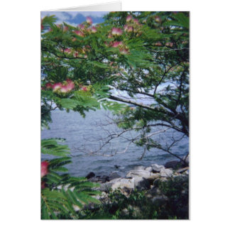 pinktreewaterview 001