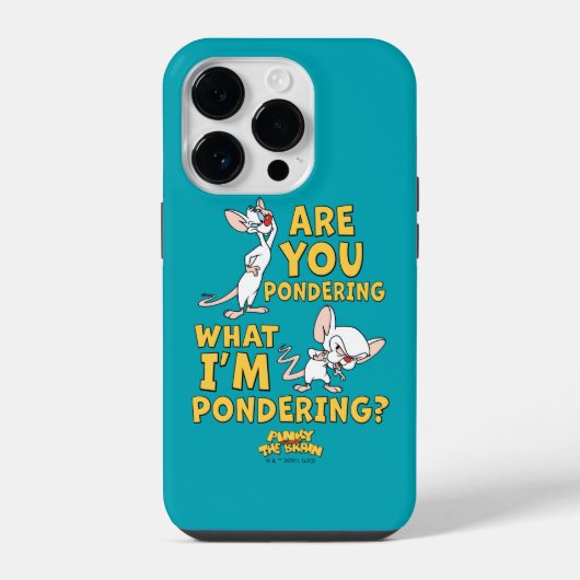 Pinky and the Brain | Droom je mee? iPhone Hoesje (Achterkant)