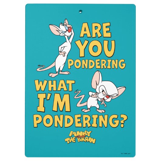 Pinky en Brain | Denk je na? Klembord (Achterkant)