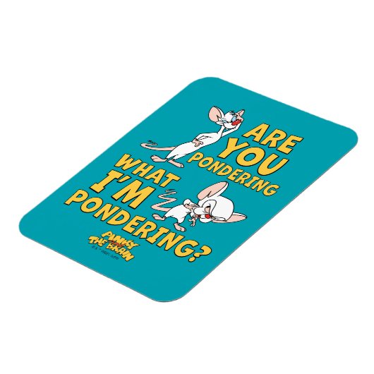 Pinky en Brain | Denk je na? Magneet (Linkerzijde)