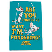 Pinky en Brain | Denk je na? Medium Cadeauzakje (Voorkant)