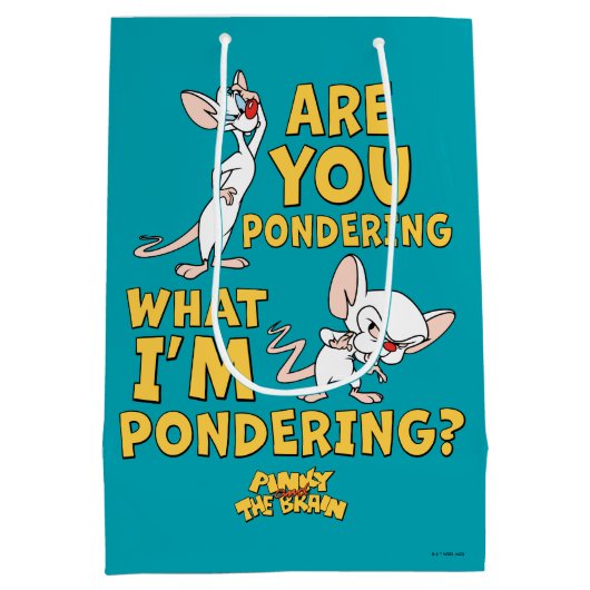 Pinky en Brain | Denk je na? Medium Cadeauzakje (Achterkant)
