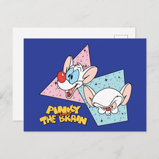 Pinky en Brain | Retro-tekenafbeeldingen Briefkaart (Voorkant / Achterkant)