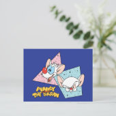 Pinky en Brain | Retro-tekenafbeeldingen Briefkaart (Staand voorkant)