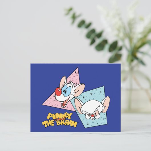 Pinky en Brain | Retro-tekenafbeeldingen Briefkaart (Staand voorkant)