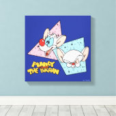 Pinky en Brain | Retro-tekenafbeeldingen Canvas Afdruk (Insitu (Houten vloer))