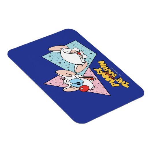 Pinky en Brain | Retro-tekenafbeeldingen Magneet (Rechterzijde)