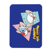 Pinky en Brain | Retro-tekenafbeeldingen Magneet (Verticaal)