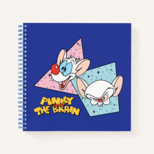 Pinky en Brain Retro-tekenafbeeldingen Notitieboek