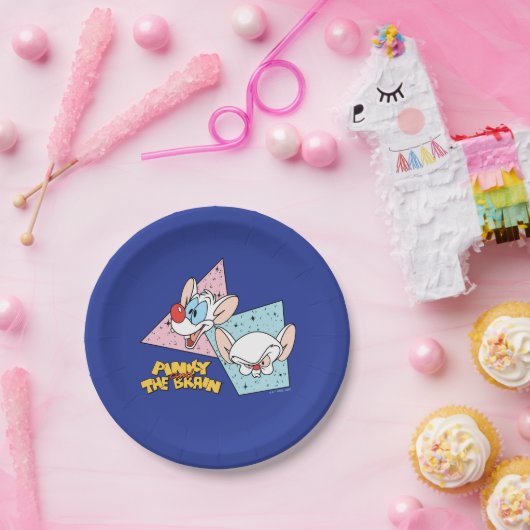 Pinky en Brain | Retro-tekenafbeeldingen Papieren Bordje (Feest)