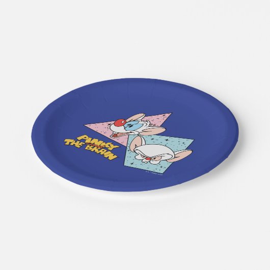 Pinky en Brain | Retro-tekenafbeeldingen Papieren Bordje (Gekanteld)