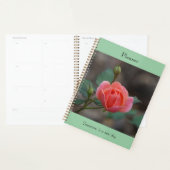 Pinky Rosebud Planner (Display)