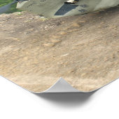 Pinnacle Maneuver Poster (Hoek)