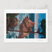 Pinnacle Point, Point Lobas State Park Briefkaart (Voorkant)