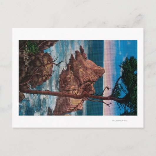 Pinnacle Point, Point Lobas State Park Briefkaart (Voorkant)