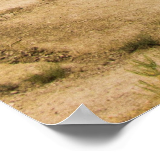 Pinnacles Overlook, Badlands National Park, SD Poster (Hoek)