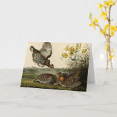 Pinnated Grouse (Grous) Audubon's Birds of America Kaart (Gele Bloem)