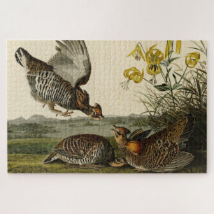 Pinnated Grouse (Grous) Audubon's Birds of America Legpuzzel