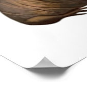 Pinnipeds van de wereld poster (Hoek)