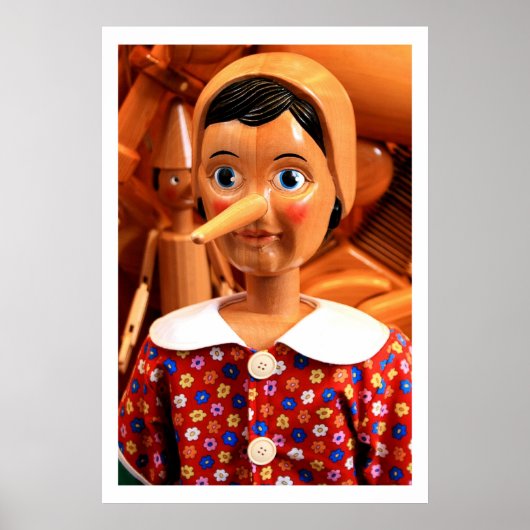 Pinocchio Collectible Poster (Voorkant)