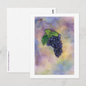 Pinot Noir Wine Grapes Briefkaart (Voorkant / Achterkant)